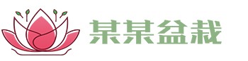 华体会官方网页版-华体会(中国)